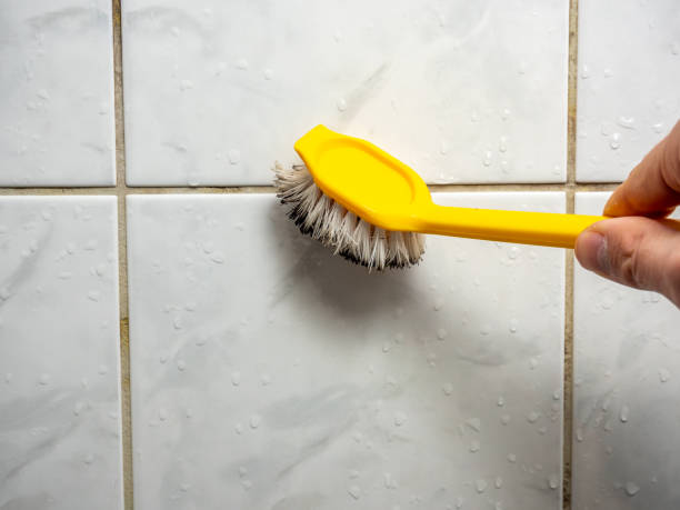 Best Commercial Mold Removal  in Big Sandy, TX