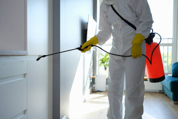 Best Residential Mold Removal  in Big Sandy, TX