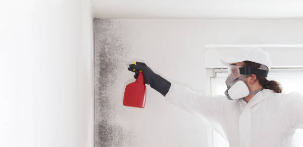 Best Mold Remediation  in Big Sandy, TX